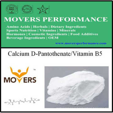 Nutrition Supplement Calcium D-Pantothenate/Vitamin B5